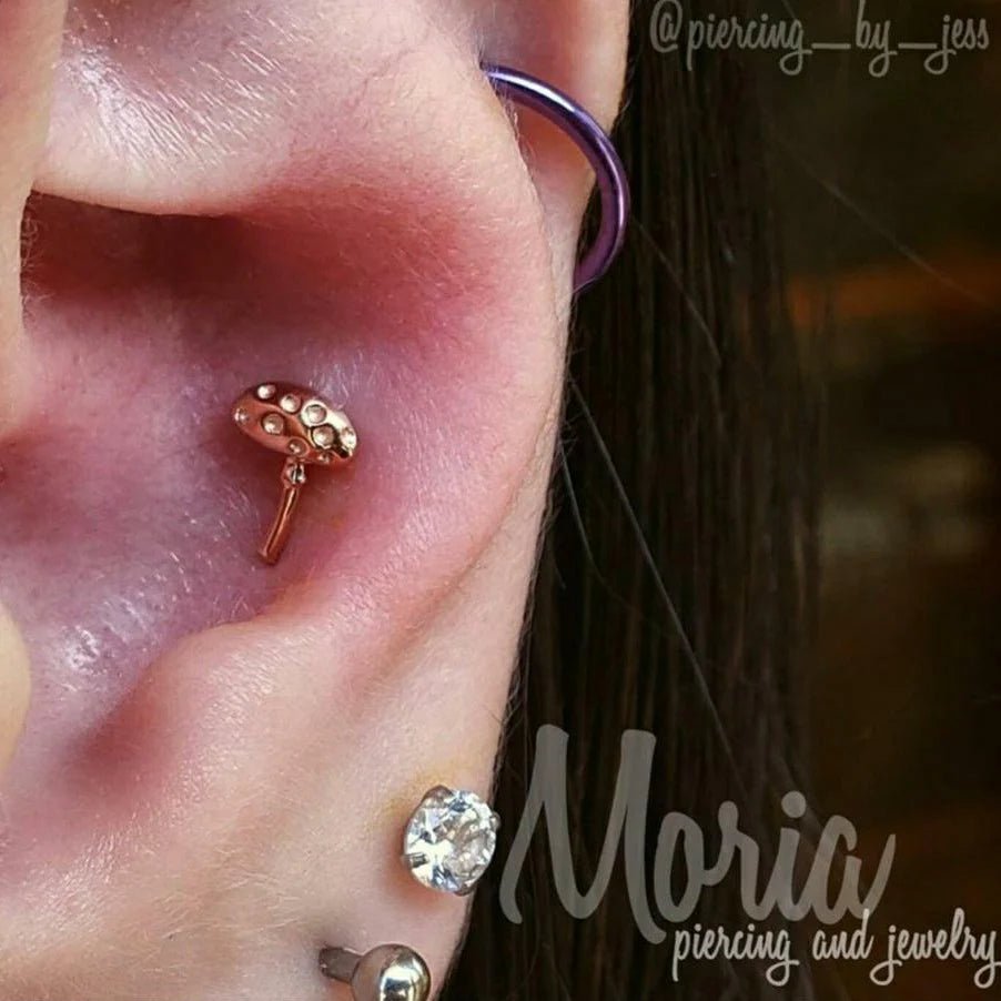 Dotty’s Friend Spotty – 14K Gold Threadless End - piercing - zone.com