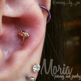 Dotty’s Friend Spotty – 14K Gold Threadless End - piercing - zone.com