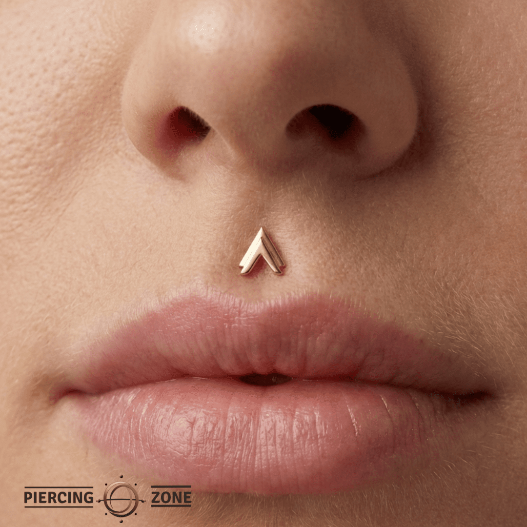 Double V – 14K Gold Threadless/Threaded End - piercing - zone.com