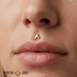 Double V – 14K Gold Threadless/Threaded End - piercing - zone.com