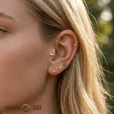 Dove – 14K Gold Threadless/Threaded End - piercing - zone.com