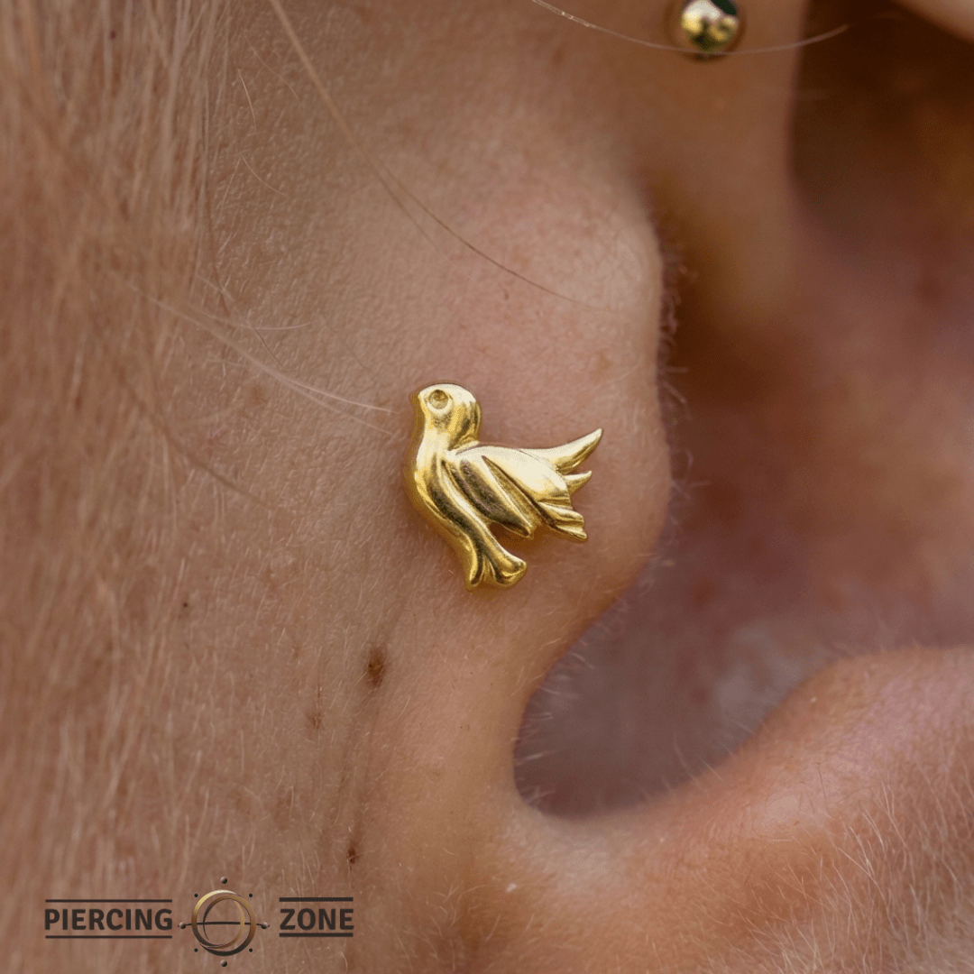 Dove – 14K Gold Threadless/Threaded End - piercing - zone.com
