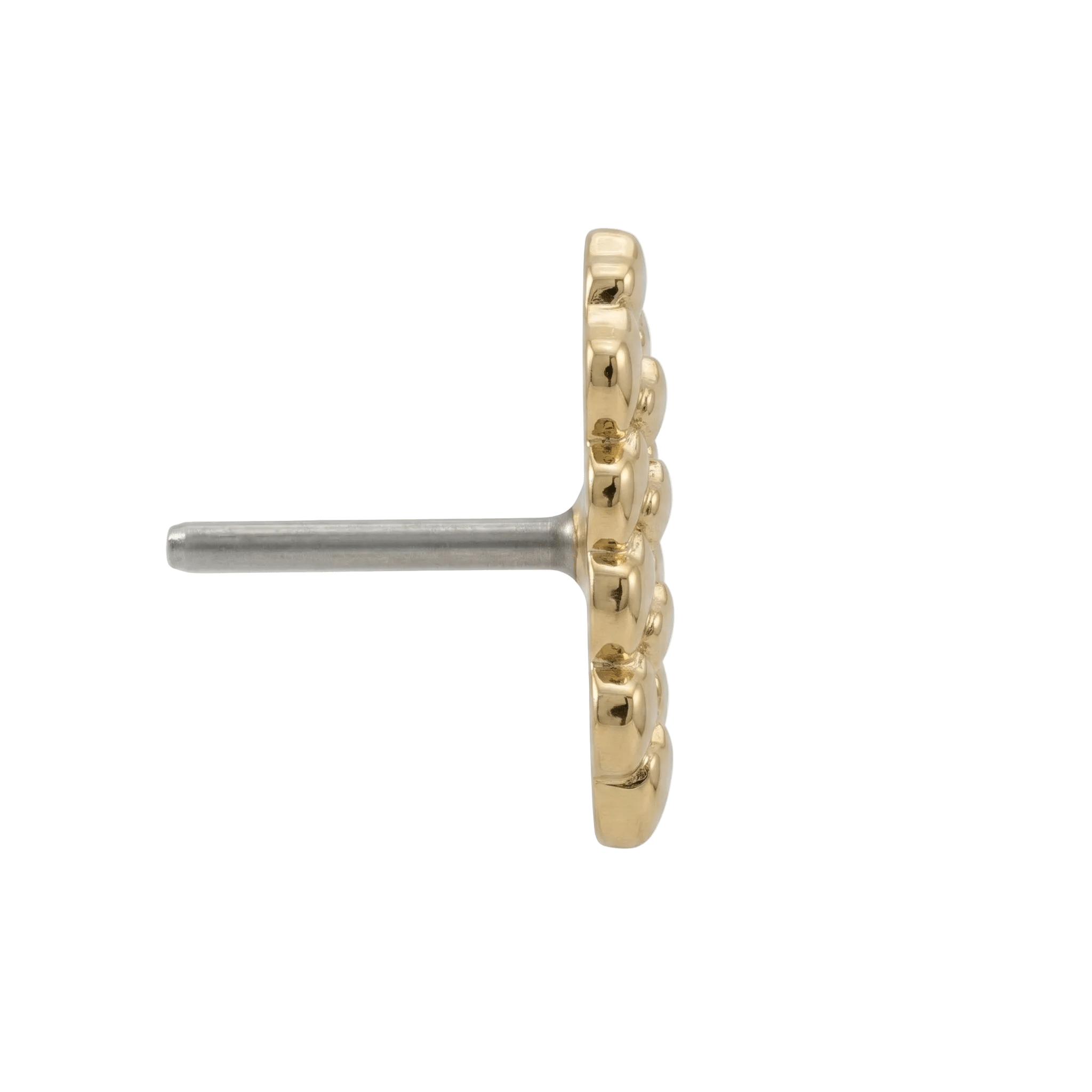 Dragon Skin - 14K Gold Threadless/Threaded End - piercing - zone.com