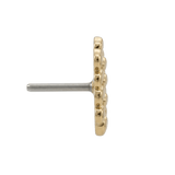 Dragon Skin - 14K Gold Threadless/Threaded End - piercing - zone.com