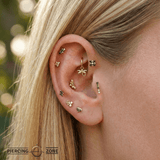 Dragonfly – 14K & 18K Gold Charm - piercing - zone.com