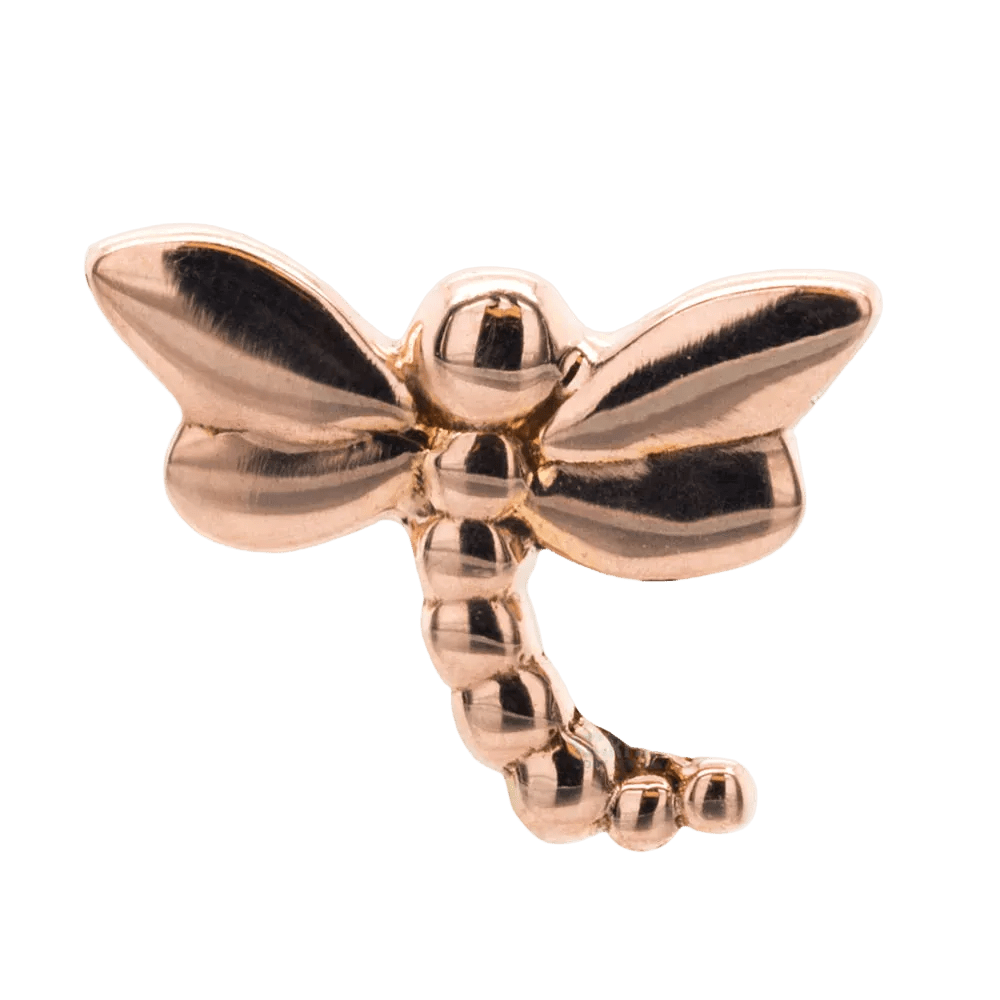 Dragonfly – 14K Gold Threadless/Threaded End - piercing - zone.com