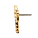 Dragonfly – 14K Gold Threadless/Threaded End - piercing - zone.com