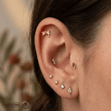 Dragonfly – 14K Gold Threadless/Threaded End - piercing - zone.com