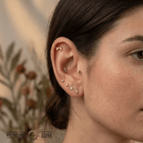 Dragonfly – 14K Gold Threadless/Threaded End - piercing - zone.com