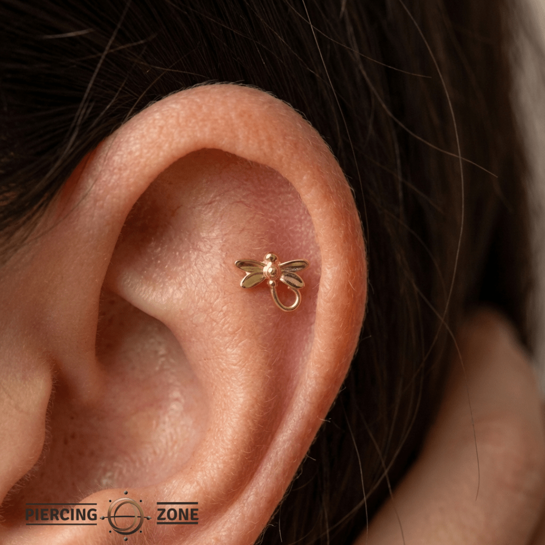 Dragonfly – 14K Gold Threadless/Threaded End - piercing - zone.com