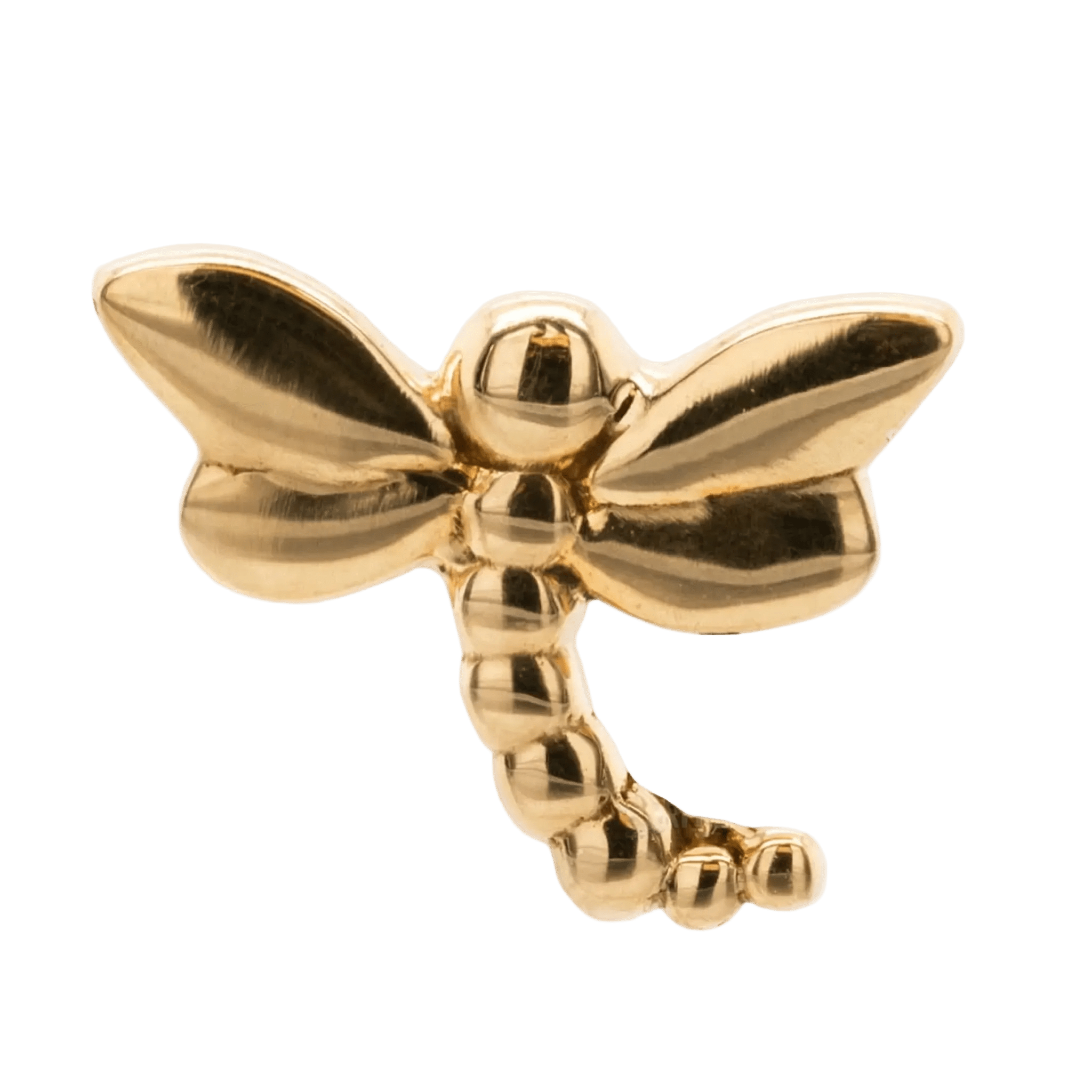 Dragonfly – 14K Gold Threadless/Threaded End - piercing - zone.com