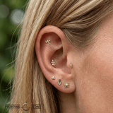 Dragonfly With Gems – 14K Gold Threadless/Threaded End - piercing - zone.com