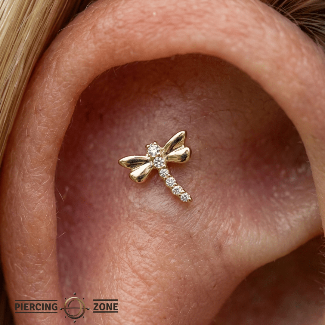 Dragonfly With Gems – 14K Gold Threadless/Threaded End - piercing - zone.com