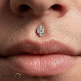 Dream On – Marquise CZ Wing – 14K Gold Threadless End - piercing - zone.com