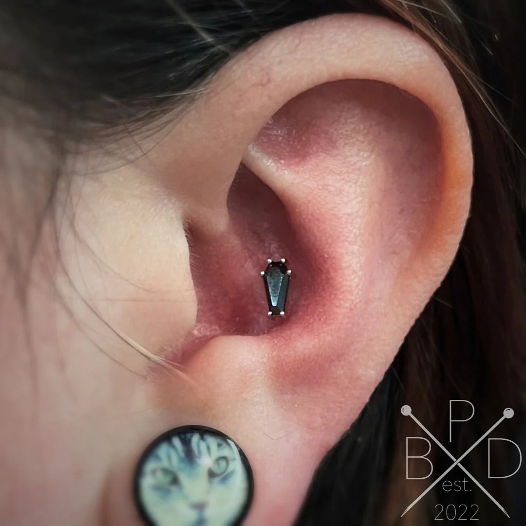 Drop Dead Gorgeous – Black CZ Coffin – 14K Gold Threadless End - piercing - zone.com