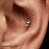 Ear – 14K Gold Threadless/Threaded End - piercing - zone.com