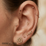 Ear – 14K Gold Threadless/Threaded End - piercing - zone.com
