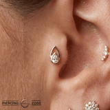 Echo – Pear - Cut CZ – 14K Gold Threadless End - piercing - zone.com