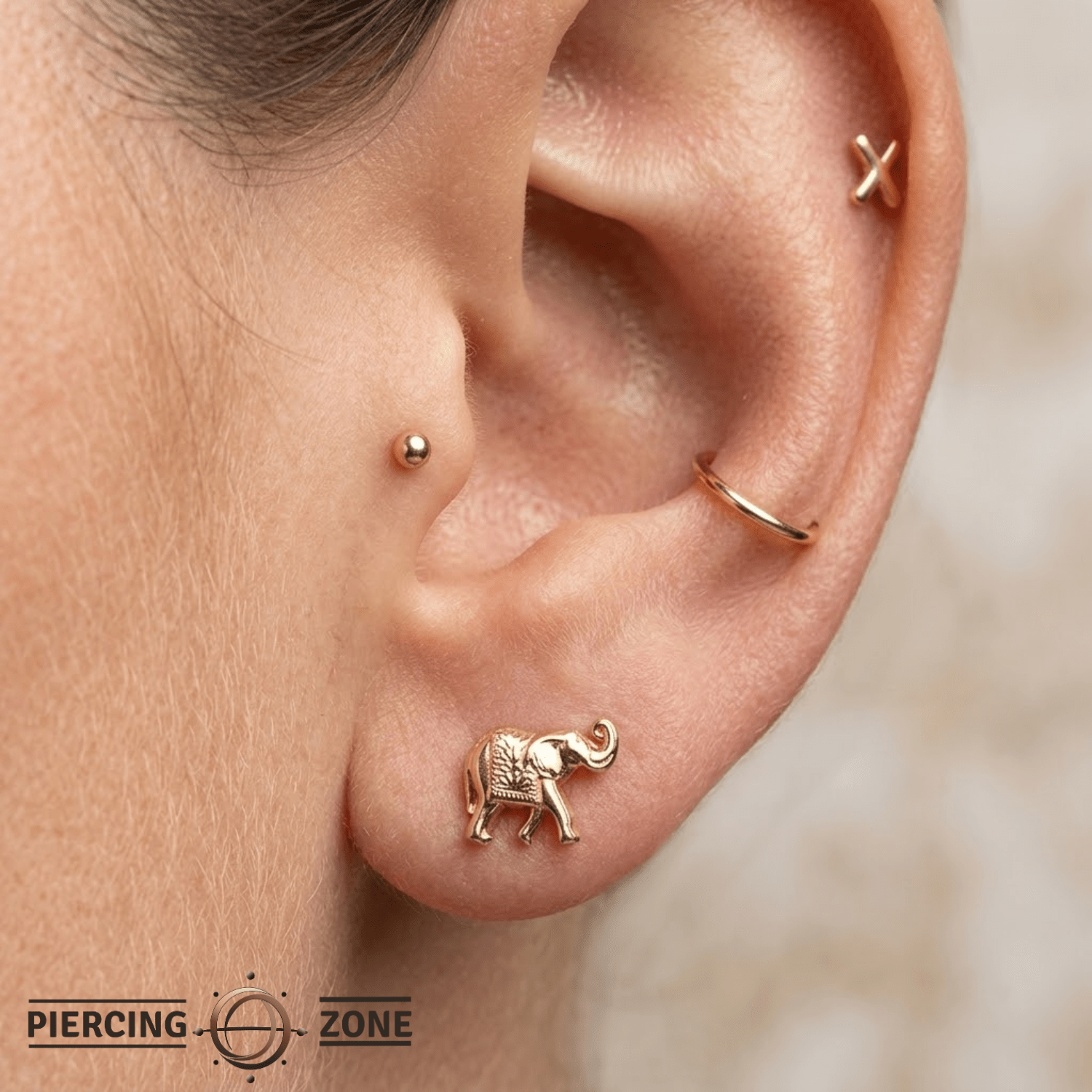 Elephant – 14K Gold Threadless/Threaded End - piercing - zone.com