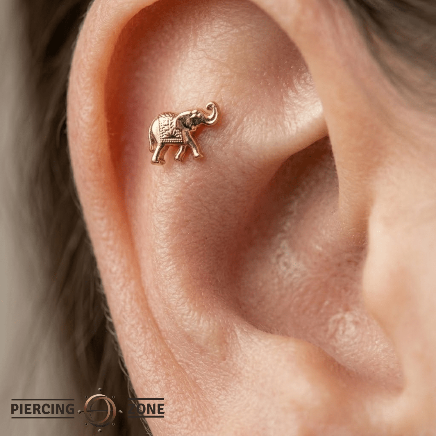 Elephant – 14K Gold Threadless/Threaded End - piercing - zone.com