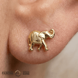 Elephant – 14K Gold Threadless/Threaded End - piercing - zone.com