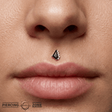 Elevate – Black Spinel & CZ – 14K Gold Threadless End - piercing - zone.com