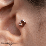 Elicit – Amethyst & CZ – 14K Gold Threadless End - piercing - zone.com