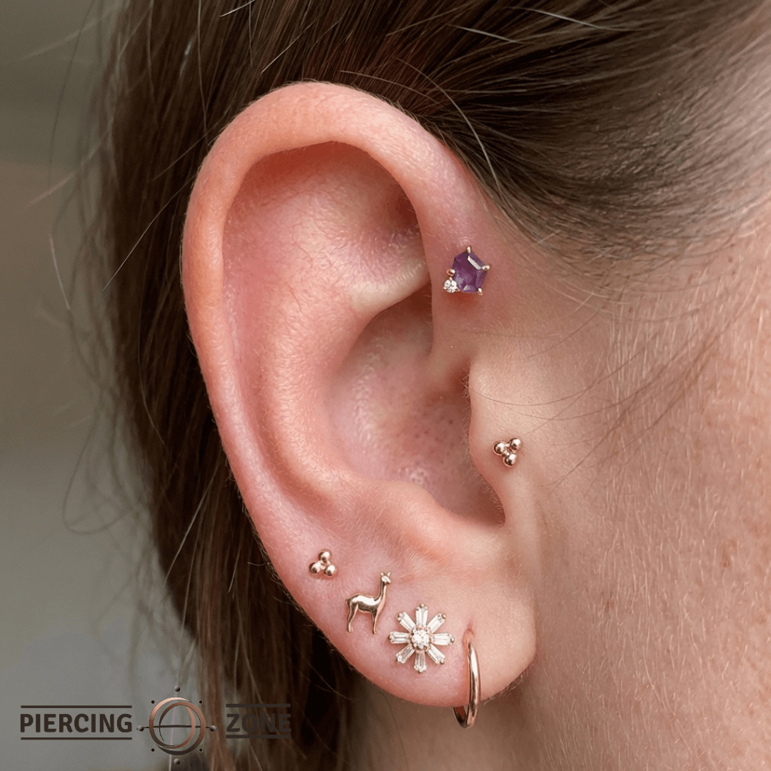 Elicit – Amethyst & CZ – 14K Gold Threadless End - piercing - zone.com