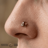 Elicit – Smokey Quartz & CZ – 14K Gold Threadless End - piercing - zone.com