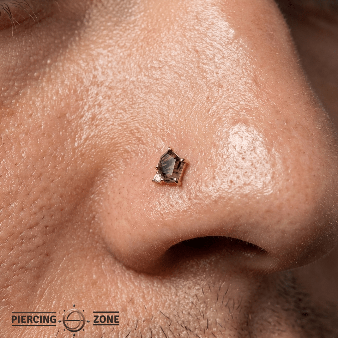 Elicit – Tourmalated Quartz & CZ – 14K Gold Threadless End - piercing - zone.com