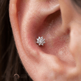 Eloise – CZ Flower – 14K Gold Threadless End - piercing - zone.com