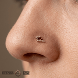 Eminence – Orange Garnet – 14K Gold Threadless End - piercing - zone.com