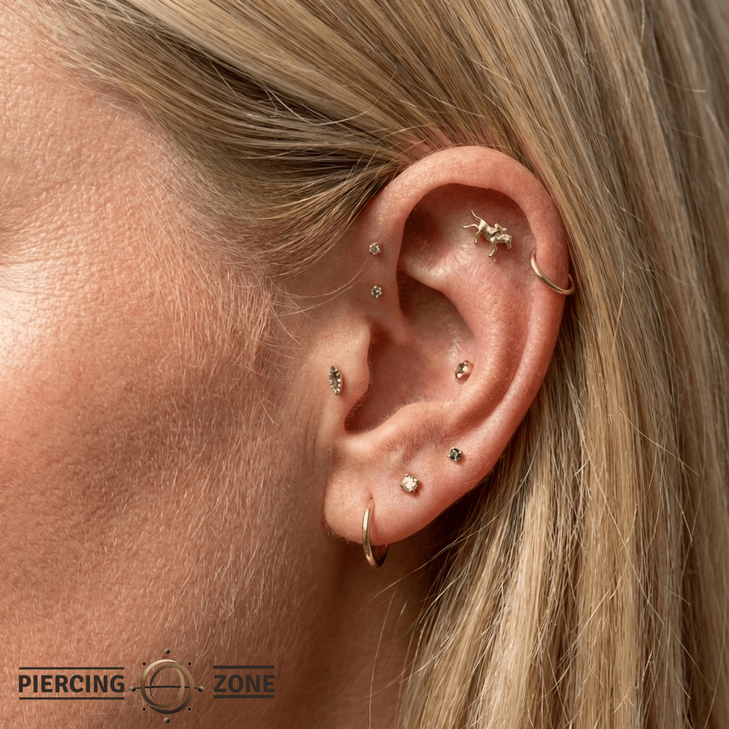 Equestrian – 14K Gold Threadless/Threaded End - piercing - zone.com