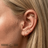 Equestrian – 14K Gold Threadless/Threaded End - piercing - zone.com