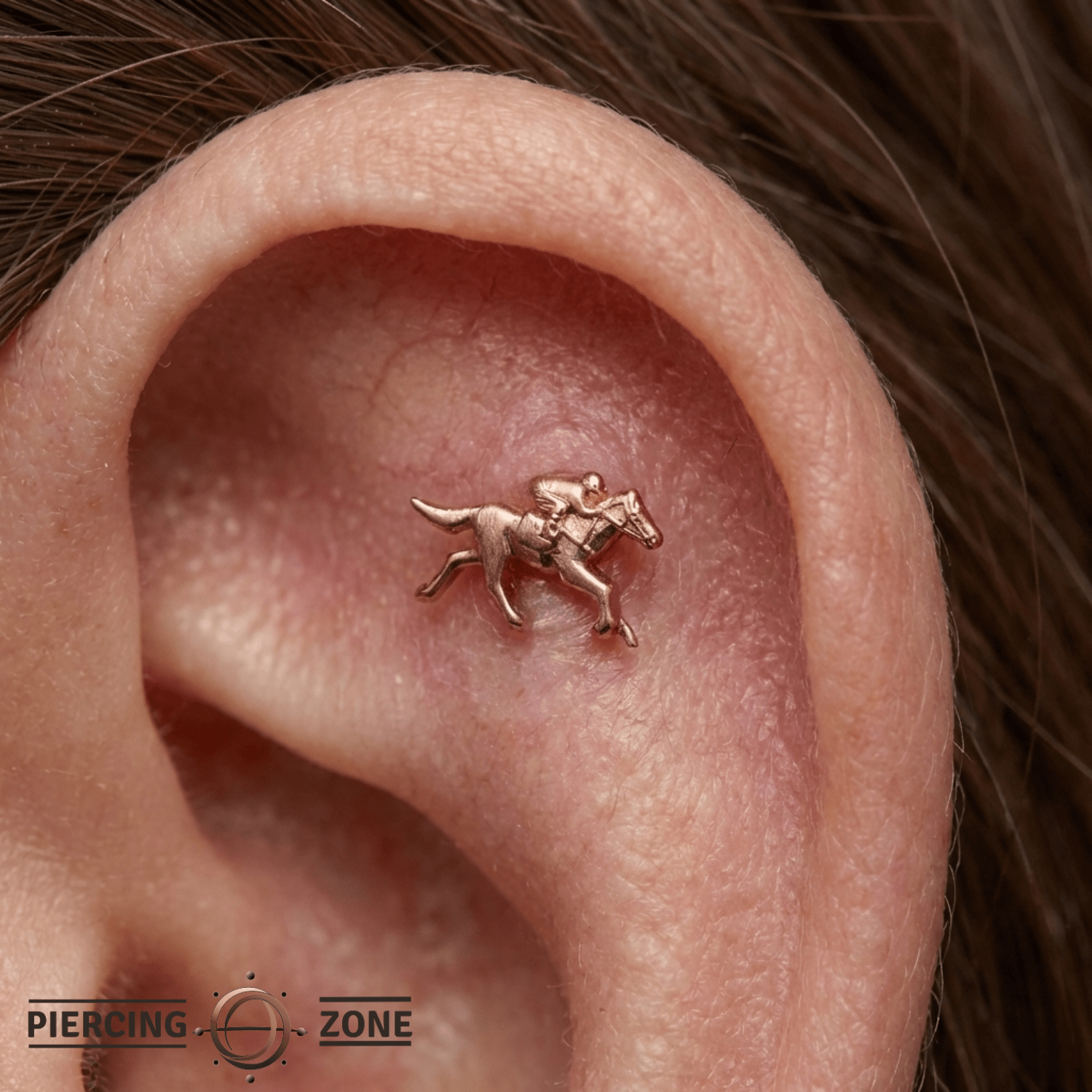Equestrian – 14K Gold Threadless/Threaded End - piercing - zone.com