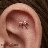 Equestrian – 14K Gold Threadless/Threaded End - piercing - zone.com