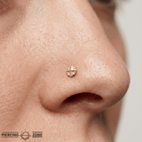 Esquina – 14K Gold Threadless/Threaded End - piercing - zone.com