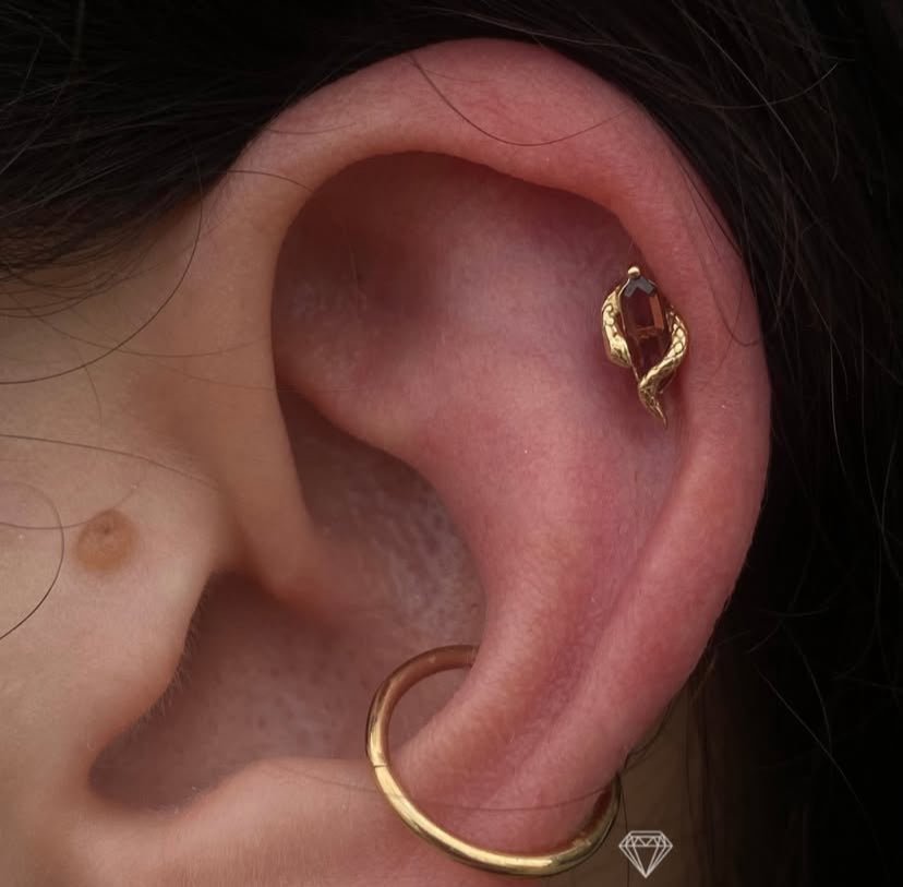 Eve Was Framed – Garnet Serpent – 14K Gold Threadless End - piercing - zone.com