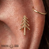 Evergreen – Pine Tree Silhouette – 14K Gold Threadless End - piercing - zone.com