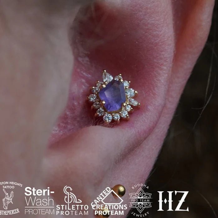 Eye Candy – Amethyst & Swarovski CZ Halo – 14K Gold Threadless End - piercing - zone.com