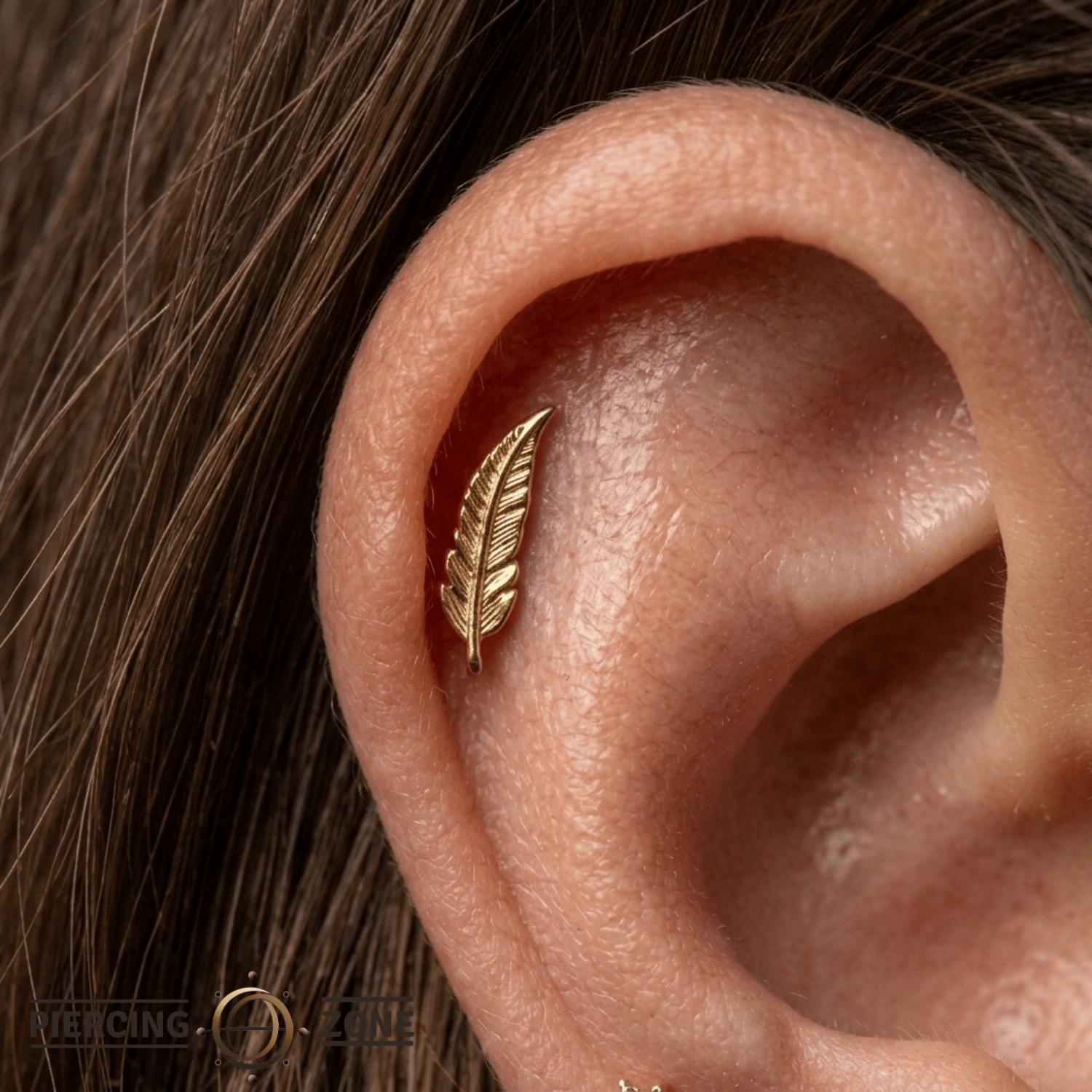 Feather – 14K Gold Threadless Pin with Curved Feather Design - piercing - zone.com