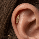 Feather – 14K Gold Threadless Pin with Curved Feather Design - piercing - zone.com