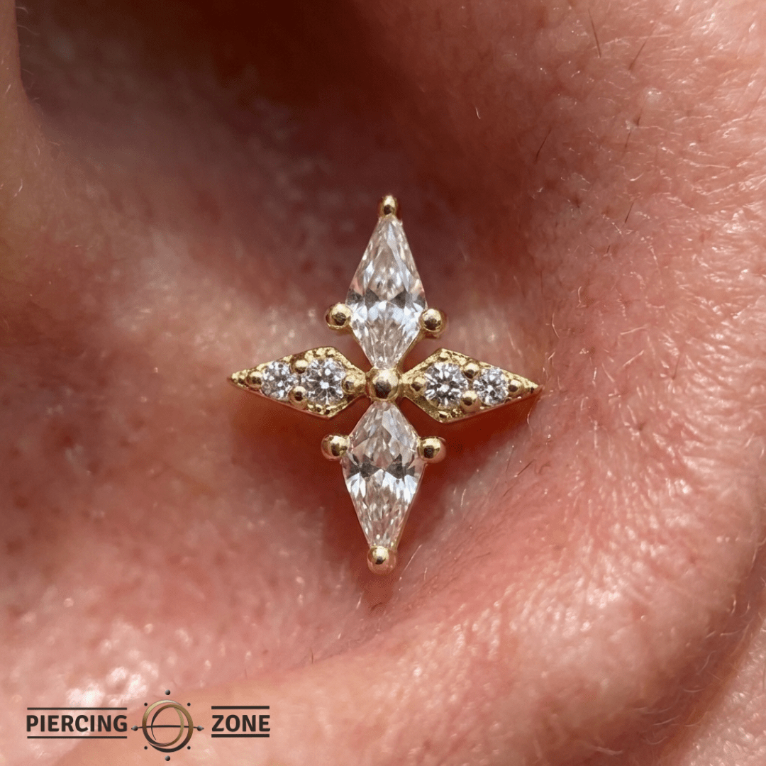 Feeling Myself – 14K Gold Swarovski CZ Cluster Threadless End - piercing - zone.com