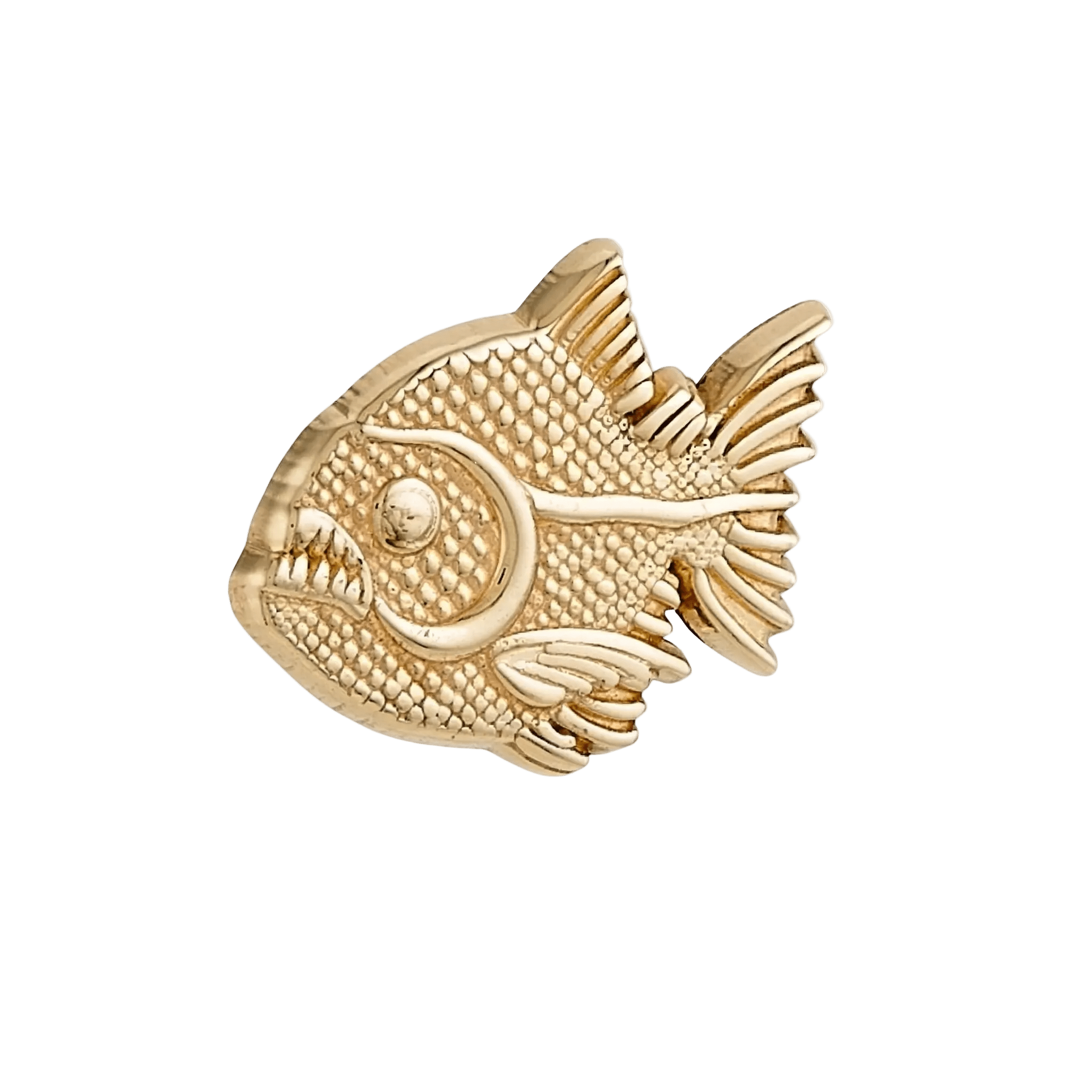 Ferocious Piranha – 14K Gold Threadless/Threaded End - piercing - zone.com