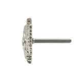Ferocious Piranha – 14K Gold Threadless/Threaded End - piercing - zone.com