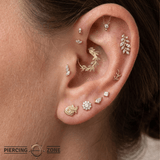 Ferocious Piranha – 14K Gold Threadless/Threaded End - piercing - zone.com
