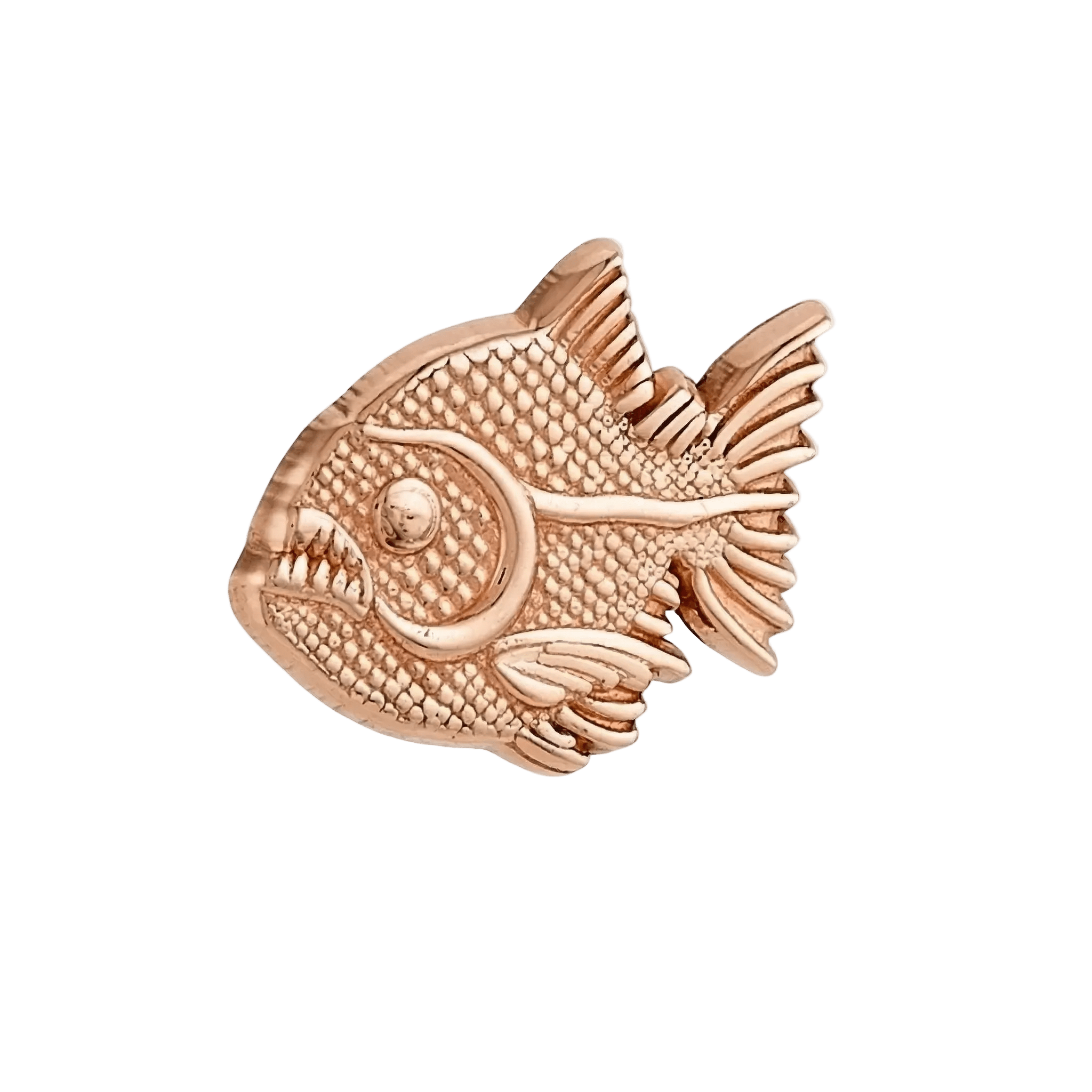 Ferocious Piranha – 14K Gold Threadless/Threaded End - piercing - zone.com