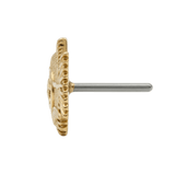 Ferocious Piranha – 14K Gold Threadless/Threaded End - piercing - zone.com