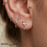 Flamingo – 14K Gold Threadless/Threaded End - piercing - zone.com