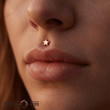 Flat Star – 14K Gold Threadless/Threaded End - piercing - zone.com